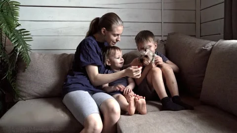Mother and two boys cuddling puppy on couch, quiet home interior with soft Stock Footage 331127341