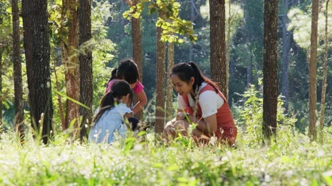 Mother and two daughters do some activities together at a camp in the woods. Stock Footage 166078021