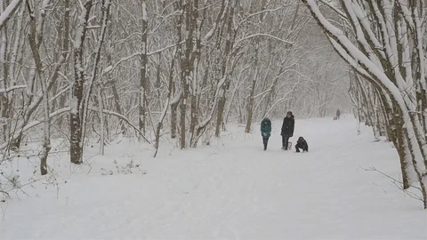 Mother and two daughters playing snowballs Stock Footage 72372530