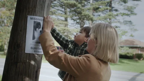 A mother and a young boy attach an announcement about a missing puppy together Stock Footage 168680743