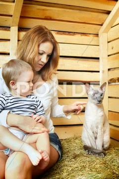 Mother, baby and cat Stock Photos