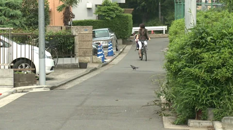 Mother on bike Vídeo Stock 32240230