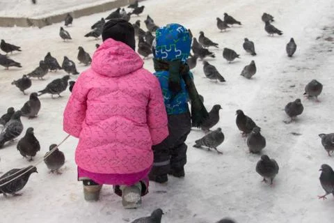 Mother with child feeding pigeons. woman with child looking at bird. winter. Stock Photos