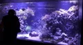 Mother with child watching big coral reef aquarium HD Footage
