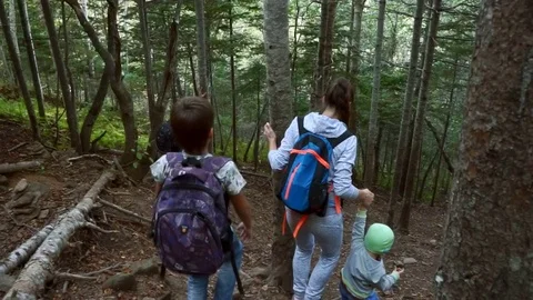 Mother with children comes down from the mountain Stock Footage 77706477