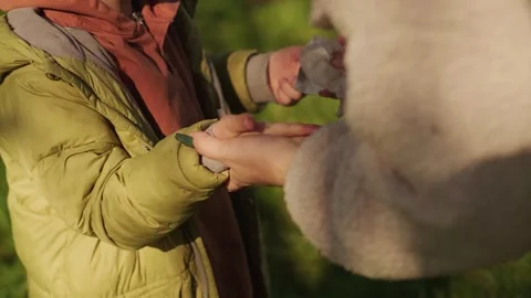 Mother cleans her son's hands with an antibacterial wipe during an autumn park w Stock Footage 289736558