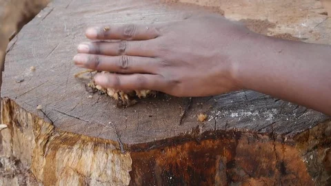 Mother crushing medicinal root Stock Footage 80618578