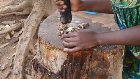 Mother crushing medicinal root for her child Stock Footage 80622339
