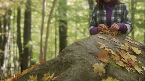 Mother, daughter and chanterelles Stock Footage
