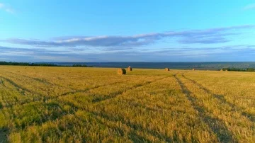 Mother with daughter sit on the straw stack on the rustic field in the sunset. Vídeo Stock 85667872