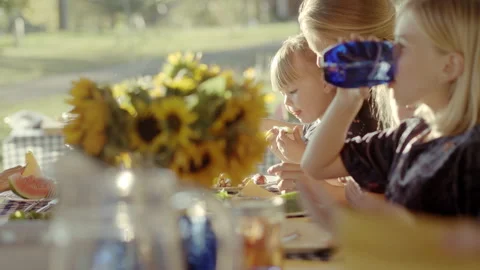 Mother daughters Picnic long table Stock Footage 171940805
