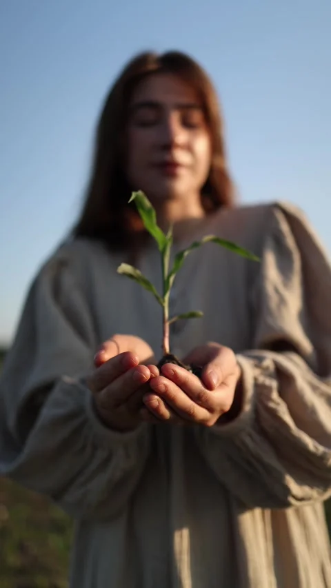 Mother Earth with seedling Stock Footage 337941330