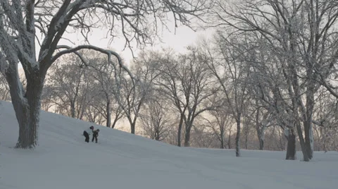 Mother helping son learn to snowboard Stock Footage 35510452