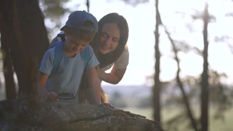 Mother helps boy explore bark with magnifying glass outdoors. Child examines Stock Footage 346786378