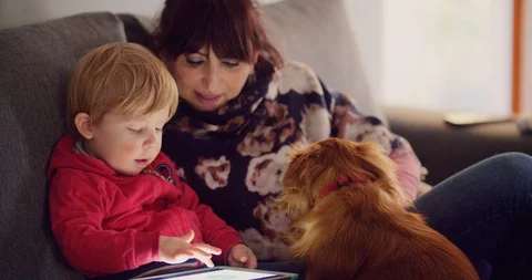 Mother with her son using tablet on sofa at home Stock Footage 103387406