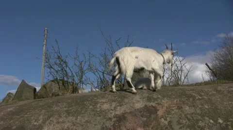 Mother kid Stock Footage 12547517