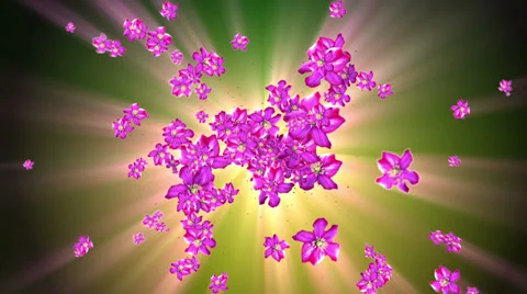 Mother Nature Flower Background Stock Footage 28496166