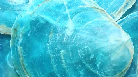 Mother of pearl shell blue background.texture of the mother of pearl Stock Footage 150856924