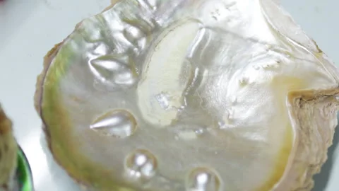 Mother of pearl surface of mollusk shell. Stock Footage 303368872
