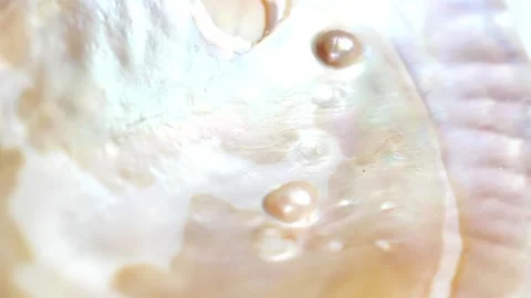 Mother of pearl texture in soft beige tones and organic pattern Stock Footage 333861614
