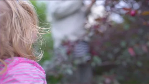 Mother plucking plums from the tree while daughter collecting it in a basket Vidéo 76139591