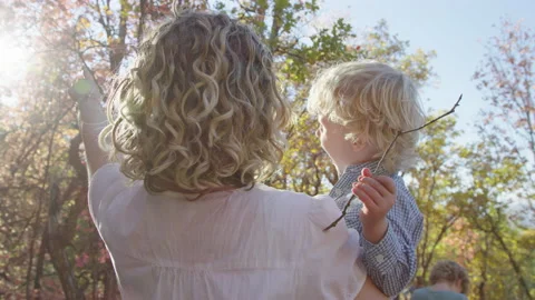 Mother points to tree canopy and setting sun to teach toddler about nature Video stock 194460727