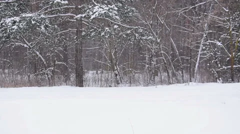Mother pulling child on sled through snow. Slow motion Stock Footage 68517927