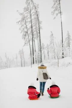 Mother is pulling her two daughters on sledge during winter day. 스톡 사진