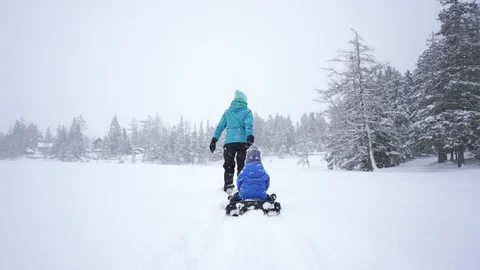 Mother pulling a sledge - cinematic wide angle shot in slow motion Stock Footage 104900126