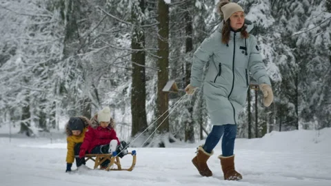 Mother pulling wooden sled with two kids son daughter in winter snowy park. Stock-Footage 255679114