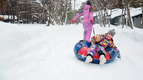 Mother pulls inflatable sledge with daughter and dog in park Stockbeeldmateriaal 138910062