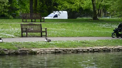 Mother pushing a pushchair in the park Stock Footage