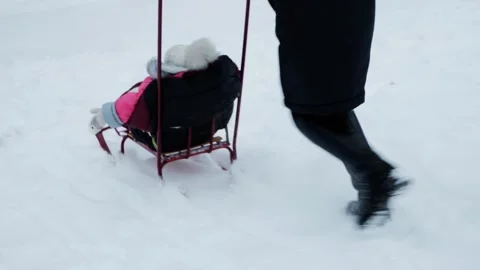 A mother rides her 1-2 year old daughter on a sled down a mountain in the snow Stockbeeldmateriaal 255636828