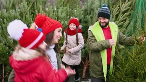 Mother, son and two daughters dance around dad, who holds a Christmas tree in Stock-Footage 221413293