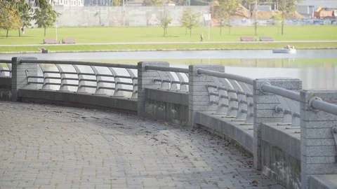 Mother with a stroller walking in the Park Stock Footage 81370474