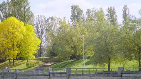 Mother with a stroller walking in the Park Video stock 81411912