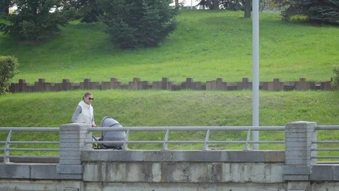 Mother with a stroller walking in the Park Video stock 81412411