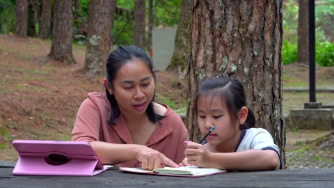 Mother teaching and helping her primary school daughter with homework in a park Vídeo Stock 333663713