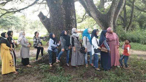 Mother under the big tree 스톡 사진