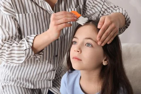 Mother using nit comb on her daughter's hair indoors. Anti lice treatment Stock Photos