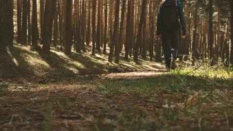 Mother walking in the forest with her son Stock Footage 141694953