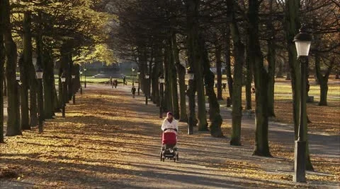 Mother walking with perambulator Stock Footage 11331703