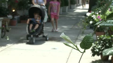 Mother walking stroller and young child down sidewalk Stock Footage