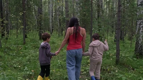 Mother walking with two sons in birch forest Stock-Footage 315413986