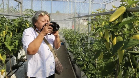 Mother04 Stock Footage 100425128