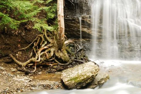 Motherlode Stock Photos