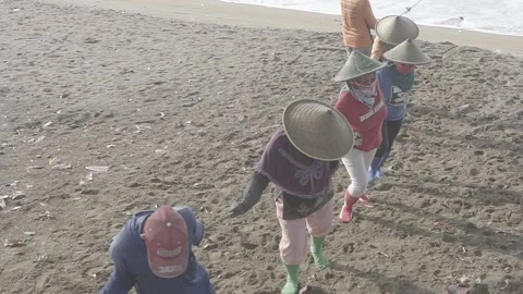 Mothers are pulling nets traditionally Stock Footage 196137753