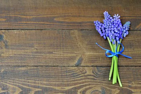 Mothers Day background with bouquet of grape hyacinth flowers Stock Photos