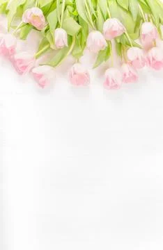 Mother's Day, St Valentine's Day Card. Tulips on white Background, flat lay Stock Photos