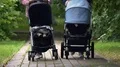 Mothers walking in park with babies in strollers, maternity pay, parenthood HD Footage